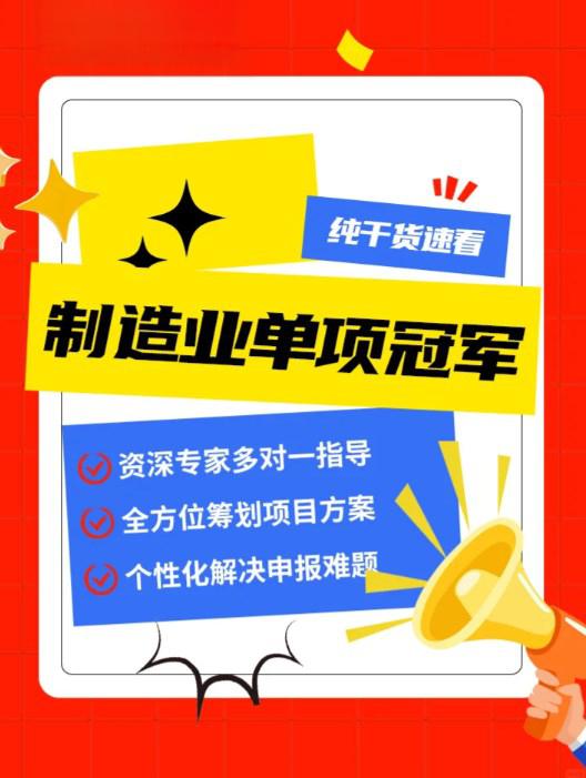 单项冠军申报辅导(单项冠军是什么意思)长沙市