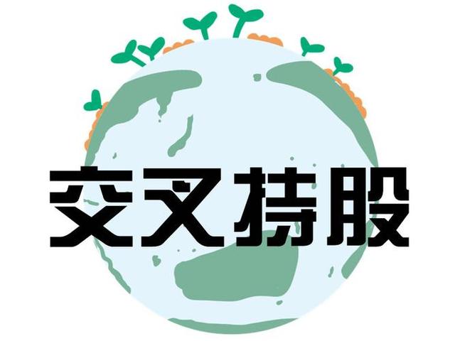 交叉持股安排设计(交叉持股怎么计算持股比例)长沙市